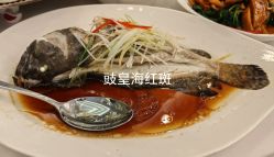 -虹桥迎宾馆·宴会厅