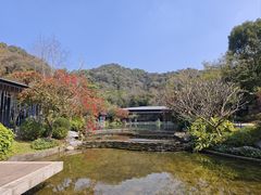 -云溪植物园