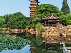 -尚湖风景区