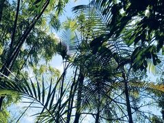 -荷花温泉