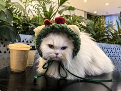 -上海尚嘉中心