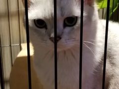 -津菜宋记老房子(鼓楼店)