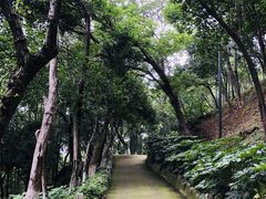-龟山风景区-龟山电视塔