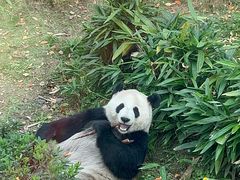-武汉动物园