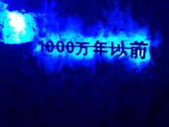 -很久以前羊肉串(农科路店)