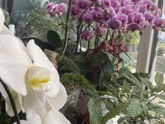 -FEI FEI FLOWER鲜花店·气球派对·宝宝宴布置(虹口德必运动Loft店)
