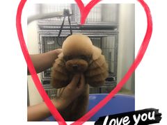 -沐沐家宠物(成寿寺店)