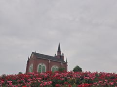 -都江堰玫瑰花溪谷