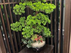 -见康道莱•足浴按摩•艾灸•SPA(友谊店)