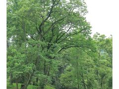 -阿哈湖国家湿地公园