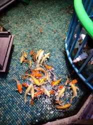 -酷嗒动物文化乐园(cutezoo西溪乐天城店)