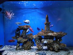 -太平洋海底世界