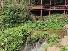 -青城山