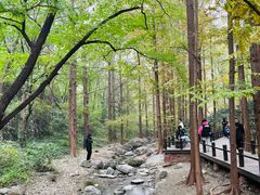 -国家植物园南园