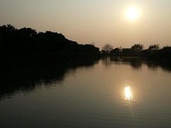 -大湾区中央湿地公园