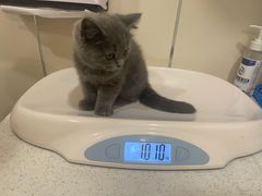 -萌兽医馆·犬猫专科·眼科中心·宠物医院(朝阳门分院)