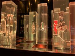 -THE CANNERY&JUJU 新鲜海鲜·牛排美食酒廊