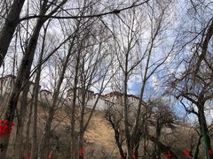 -宗角禄康公园