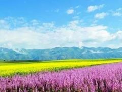 -伊犁河风景区