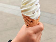 -蜜雪冰城(动物园地铁A口旁小吃街店)