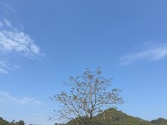 -珠海圆明新园