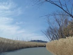 -日照灯塔风景区