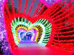 -武汉紫薇都市田园