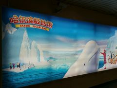 android_upload_pic-哈尔滨太平国际机场