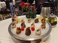 味淋冻海螺-金翠皇宫粤菜·点心·海鲜(科技园店)
