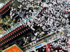 -迎泽公园