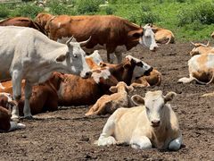 -云座·时光·观景咖啡厅(五爷庙店)