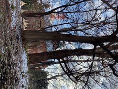 -北海道厅旧本厅舍(旧本庁舎)