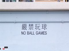 -彩虹村