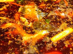-蜀滋香鲜鱼美蛙火锅(339店)