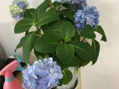-一杯绿豆汤(柏庐广场店)
