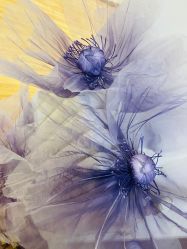 -美肤盾祛痘·问题肌头疗管理中心