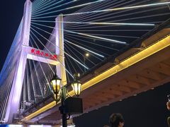 -武汉知音号