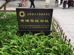 -长洲岛