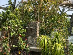 -北京植物园-展览温室
