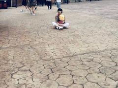 -梦幻奥陶纪景区