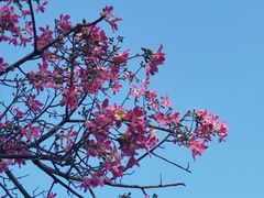 -益利大酒楼(井岸店)