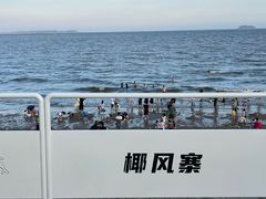 -椰风寨