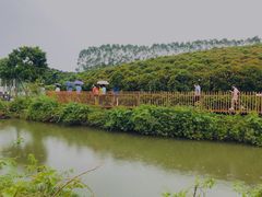 -迪茵湖田家舍生态农场