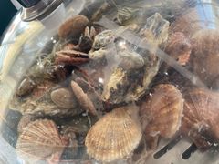 -大锅强·蒸海鲜青岛菜(吾悦广场店)