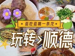 -聚福山莊·寻味顺德(北滘店)
