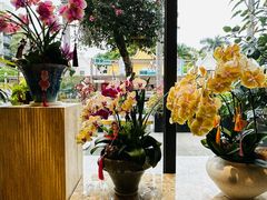 -花神·轻食简餐·咖啡馆·花卉绿植(荷兰花卉小镇店)
