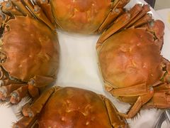 -王宝和酒家(黄浦店)