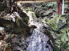 -波尔登森林公园