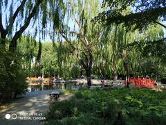 -玲珑塔公园