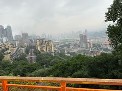 -重庆市奥林匹克体育中心-游泳跳水馆